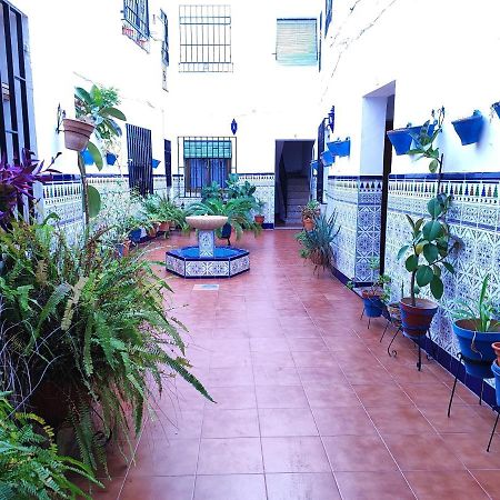 La Casa Del Patio En Pleno San Lorenzo Córdoba Exteriör bild